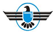 Skyhawk Security